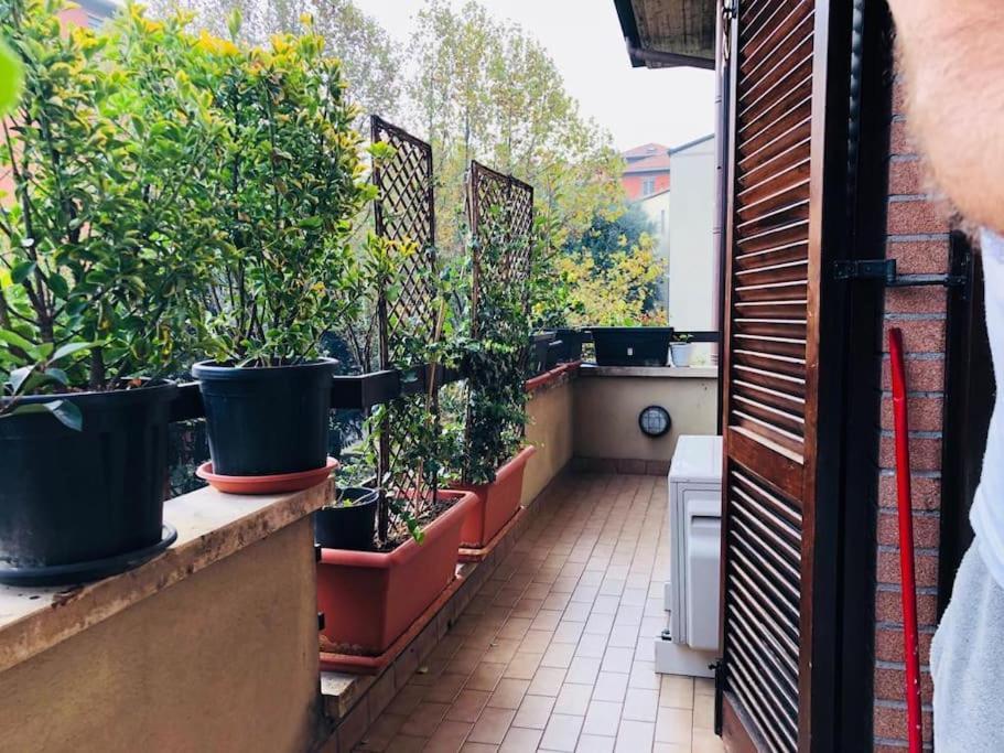 Ketty House B&B - Policlinico Di Monza, U-Power Stadium Εξωτερικό φωτογραφία