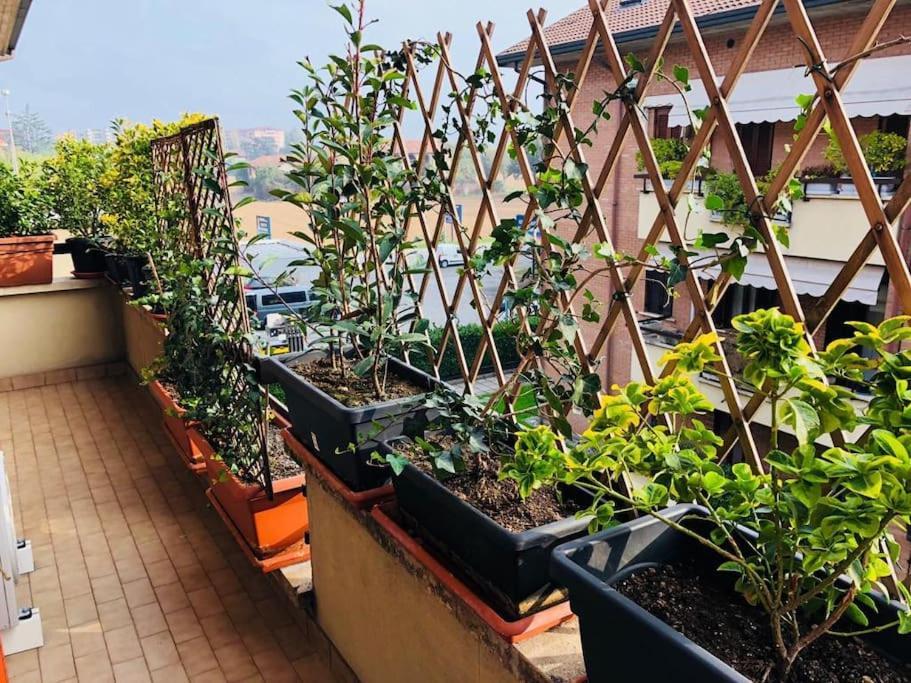 Ketty House B&B - Policlinico Di Monza, U-Power Stadium Εξωτερικό φωτογραφία