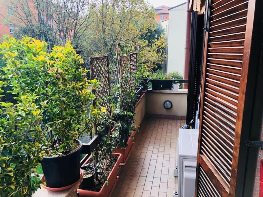 Ketty House B&B - Policlinico Di Monza, U-Power Stadium Εξωτερικό φωτογραφία